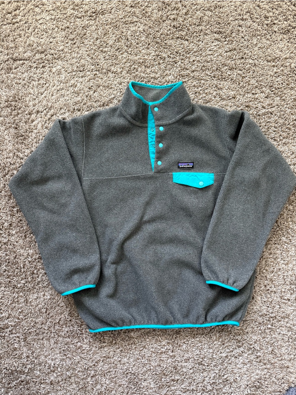 Patagonia Synchilla Pullover